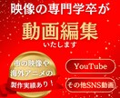 あなたの動画を編集いたします 海外アニメ製作での実績を活かしご希望の動画を製作いたします。 イメージ1