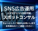 Facebook/インスタグラム広告診断いたします META広告設定や運用方法についてコツをご説明いたします イメージ4