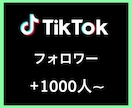 TikTokフォロワー1000人〜増やします あなたのSNSマーケティングをサポート致します イメージ1