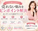 占い師専用！ココナラ3000件超のプロが添削します 出品ページの添削からリピートの秘訣まであなたの悩みを解決！ イメージ1