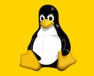 Linuxのトラブル解消をサポートいたします インストール・開発環境構築・パッケージ管理 イメージ1