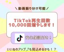TikTok再生回数を+10,000回増加させます 動画振り分け可能！オプションあり イメージ1