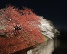 福岡市内で指定場所の写真/動画撮影を代行します スマホで撮影します。現地調査・資料用・ブログ・SNSなどに◎ イメージ2