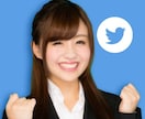 Twitter日本人フォロワー150人増やします フォロワー増加！元企業公式Twitter(Ｘ)中の人が宣伝♪ イメージ4