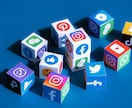 SNS運用いたします sns運用に付随する業務、フォロワー、再生回数など イメージ1
