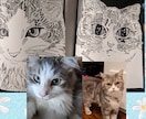 猫の絵を描きます 写真の猫ちゃんを独特な絵、かっこいい絵に出来ます！ イメージ4