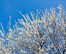 人知れず頑張っているあなたのことを褒めます 誰も認めてくれない！そんな不満をぶつけて下さい。 イメージ10