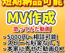 短期納品可能！MV作成いたします 声の雰囲気に合わせて編集します！丸投げもOK イメージ1
