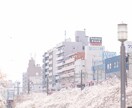 写真の切り抜き・加工を承ります 人物・動物・植物などもOK！1枚500円～ イメージ7