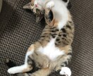 恋愛関係のモヤモヤするお話を聞きます 心のモヤモヤ、出してみませんか イメージ1