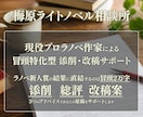 現役プロ作家があなたのラノベ執筆をサポートします ライトノベルの新人賞で超重要な冒頭部分を具体的に集中添削！ イメージ1