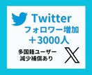 Twitter フォロワー 3000人 増やします 低価格・減少保証あり・多国籍フォロワー イメージ1