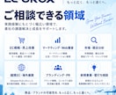 EC・マーケティングの課題を整理し戦略を提案します 国内・越境ECの実務経験をもとに成長戦略を提案します イメージ3