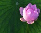 ヨガ講師がなんでもお話聴きます どんなことでもお話ください、そのお気持ち受けとめます！ イメージ2