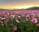 インスタグラム等で使える素材を撮影代行してきます 一眼レフでしか撮れない写真を撮ってきます。 イメージ3