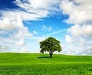 １時間優しく☆チャットルームで何でもお話を聞きます 電話相談はちょっと苦手という方に文字で寄り添います(^^)/ イメージ1
