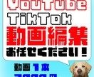 いろんなジャンルの動画編集します YouTubeなどいろんなジャンルの動画編集を行います イメージ1