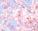 電話占い、恋愛♡仕事、人間関係を鑑定します お相手の気持ちや状況を、あなたにお伝え致します。 イメージ3