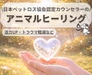 ペットちゃんの心と身体を癒やします ペットちゃんの活力UP、トラウマ軽減、解消に働きかけます イメージ1