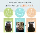 女性専属|髪型迷子にオンライン美容師相談承ります 現役 美容師があなたの美容の相談に親身になって答えます イメージ5