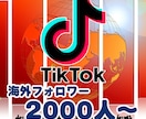 TikTok海外フォロワー★増加をお手伝い致します 外国人フォロワー2000人～ ティックトック イメージ1