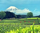 自然がテーマの写真を提供します 壮大な自然の1ピースを提供します。 イメージ1