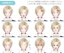 高品質‼Vtuber向けLive2Dモデル承ります 特別特典「はじめてのVtuberガイドブック」付き イメージ5