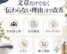 LPやWebページの文章をプロが診断＆添削します プロ視点で「買わない理由」を改善！購入率を高める文章へ添削 イメージ3