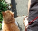 LGBTQ+誰にも言えない悩み、聞きます ただ話したい、だけでも構いません イメージ1