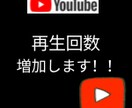 YouTubeの再生回数を増加します YouTubeの日本エリアにおける再生回数を増加します！ イメージ1