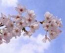 誰かに聞いてほしい整理できない気持ち、受け止めます 心の中、ちょっとだけ換気していきませんか？ イメージ1