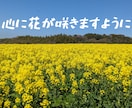 あなたが今お話ししたいその気持ち、私がお聞きします 悩み・愚痴・不安・自慢話・誰かと話したい、何でも大丈夫です！ イメージ2