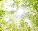 あなたのお話お伺いします あなたらしく生きていく為に今の悩みを一緒に手放しましょう＾＾ イメージ1