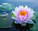 量子数秘術｜幸せへの最短ルートを鑑定します 来年どうすれば幸せになれるのか？本当の答えをお伝えします イメージ3