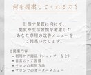 先着5名限定♪あなた専用髪改善プランをお作りします 目指す髪質に向けて、美容院と家でのケアを通しでご提案します イメージ8