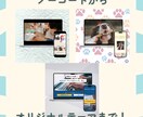 世界観をカタチにするLP制作を承ります ノーコード～WPオリジナルテーマ化まで対応いたします。 イメージ2