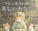 ペットロスの涙　看病の苦悩　経験者が寄り添います 10年連れ添った家族を看取った私があなたの心の杖になります。 イメージ1
