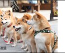 おしゃれにアメブロカスタマイズ します 8000円でアメブロバナー作成・設置まで行っちゃいます♪ イメージ5