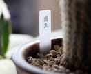 植物用ネームプレート・名札をつくります 色や形がえらべる！オリジナルデザインも対応可 イメージ5