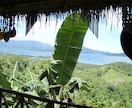 パラワンの魅力をご紹介します 緑がメッチャ濃い南の島に植林園を保有しています。 イメージ1