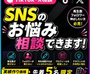 TikTok・Xの悩みをプロが相談に乗ります 再生数・フォロワーのお悩みをチャットで相談できます イメージ1