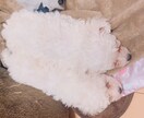 あなたの駆け込み寺になります 話しを聴いてほしい！そんな時は僕を頼ってください！ イメージ1