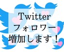 No懸賞垢！Twitter日本人フォロワー増加ます ☆期間限定☆値下げセール実施中！！ イメージ1