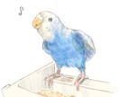 柔らかいタッチでペットのイラストを描きます 大切な家族の一員をイラストにしてみませんか？ イメージ1