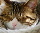 眠れない心のモヤモヤ。あなたの心に寄り添います 寄り添いナースが内容問わず、心のモヤモヤをお聞きします。 イメージ7