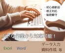 初心者でも安心！データ入力、資料整理お手伝いします データ入力、簡単な表作成、資料整理など承ります！ イメージ1