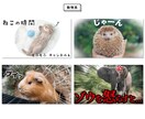 割安でYouTubeのサムネイルを制作します クリックしたくなる理想のサムネイルを制作します! イメージ7