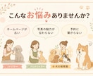 ペット事業専門｜愛犬家デザイナーがLP制作します 同じ動物好きだからこそ伝えられる「想い」を、形にします。 イメージ2