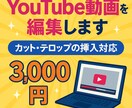 サクッと動画編集承ります 副業YouTuber向け即戦力編集 イメージ1