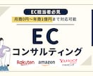 ECサイトのコンサルティングを行います 月商0円〜年商1億円までサポートした実績あり！ご相談を！ イメージ1